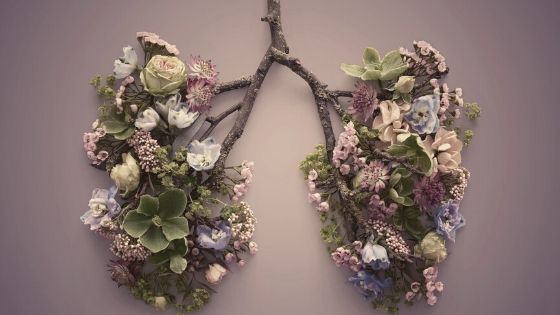 Flower Lungs